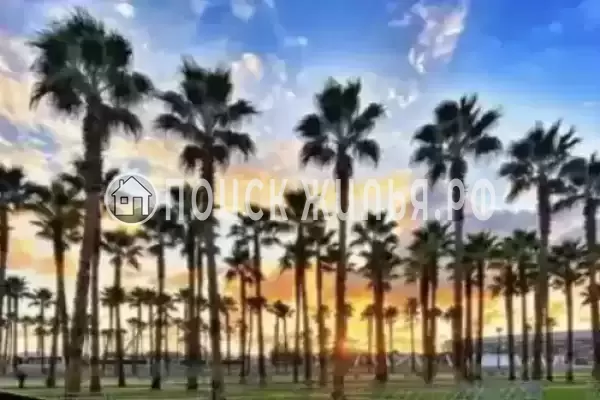 Квартира «В Олимпийском парке»