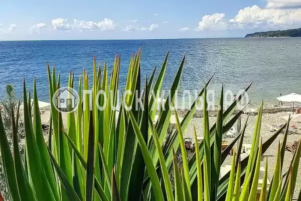 Апартаменты «Сосновый берег» Апартаменты «Сосновый берег»