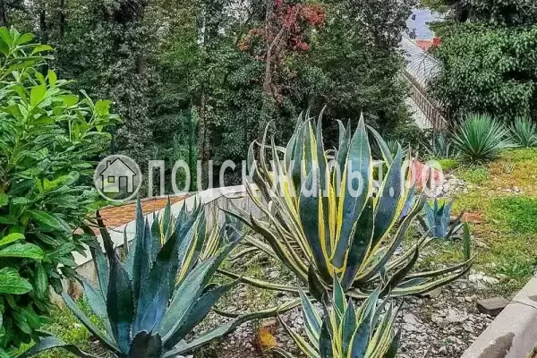 Апартаменты «Сосновый берег» Апартаменты «Сосновый берег»