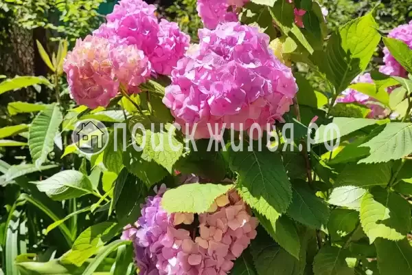 Частный сектор, пр-кт. Владислава Ардзинба, д.134 Частный сектор, пр-кт. Владислава Ардзинба, д.134