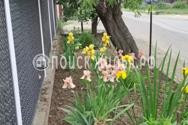 Частный сектор «Домик на Суворовском»