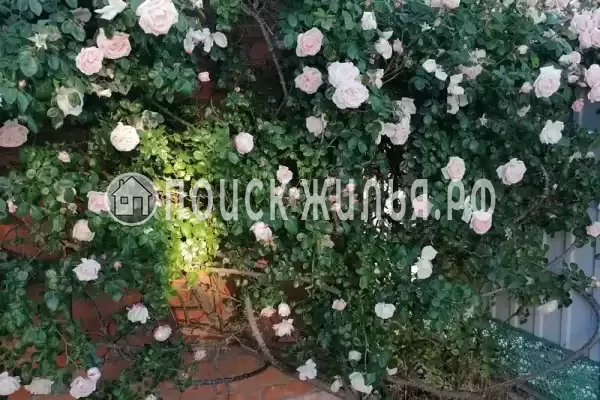 Дом под ключ «Казачье подворье»