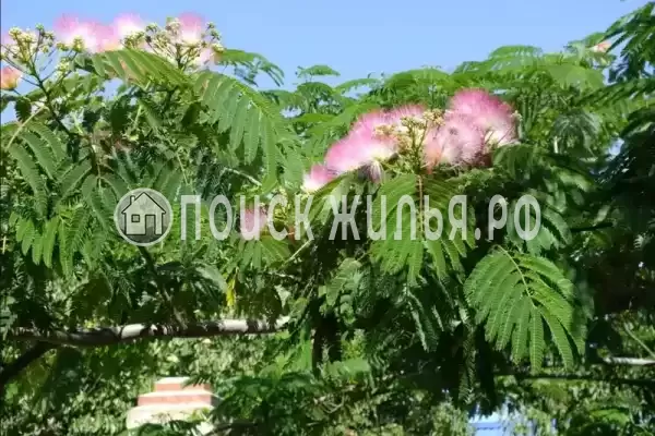 Дом под ключ «Казачье подворье»