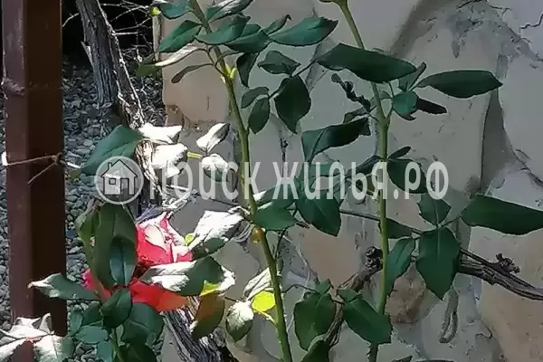 Дом под ключ «Казачье подворье»