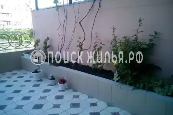 Дом под ключ «У Палыча»