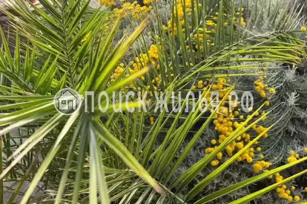 Апартаменты «Аквад» Апартаменты «Аквад»