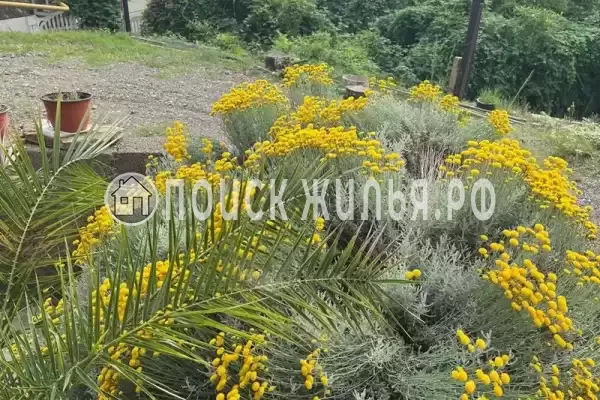 Апартаменты «Аквад» Апартаменты «Аквад»