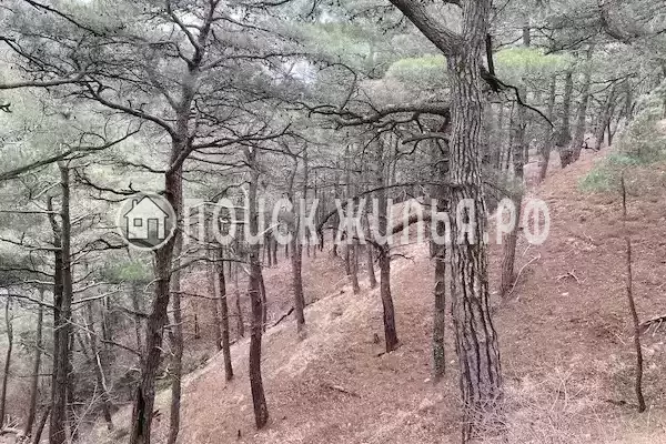 Дом под ключ «Коттедж Лесной»