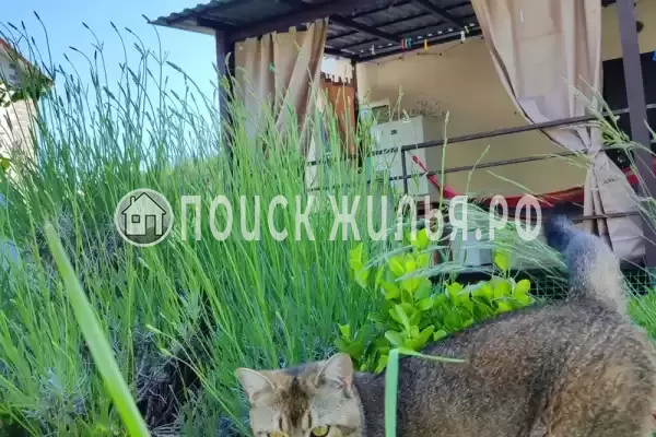 Дом под ключ «В окружении гор»