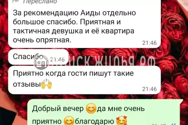 Квартира, Аиааира, д.102