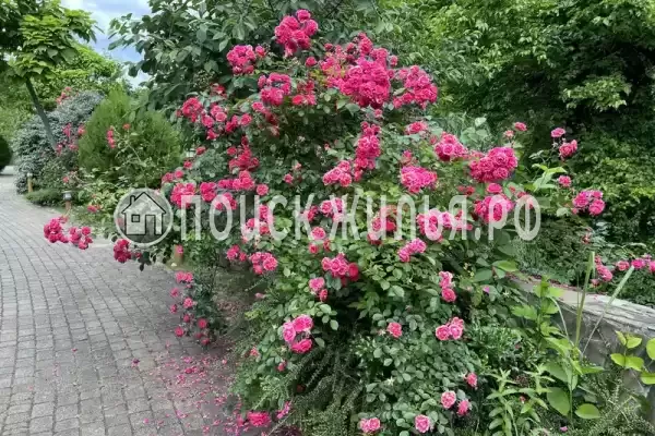 Апартаменты «В КП Резиденция солнца» Апартаменты «В КП Резиденция солнца»