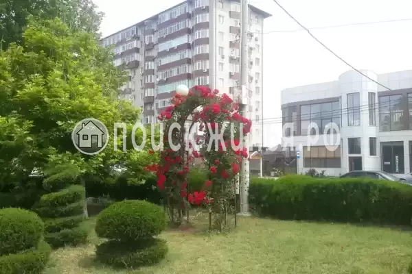 Апартаменты «С видом на море» Апартаменты «С видом на море»