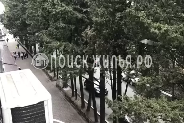 Квартира, Павлова, д.75 Квартира, Павлова, д.75