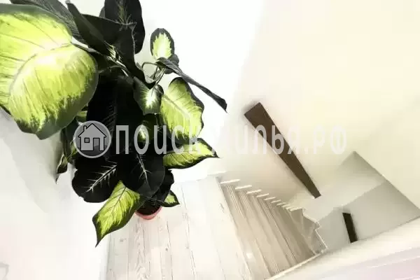 Частный сектор «Таунхаус в Тюльпановке» Частный сектор «Таунхаус в Тюльпановке»