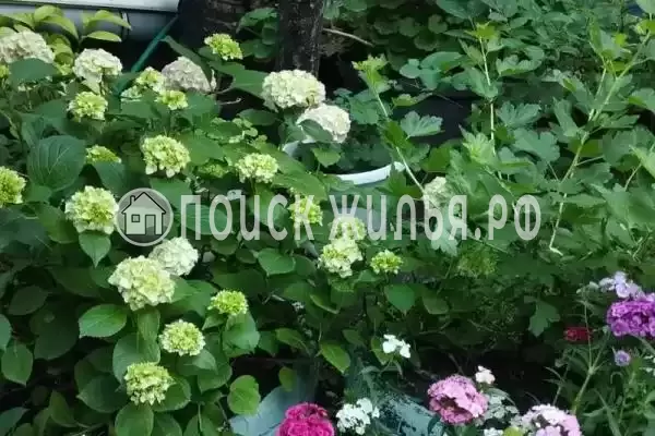 «До-Ре-Ми» «До-Ре-Ми»