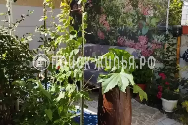 «До-Ре-Ми» «До-Ре-Ми»