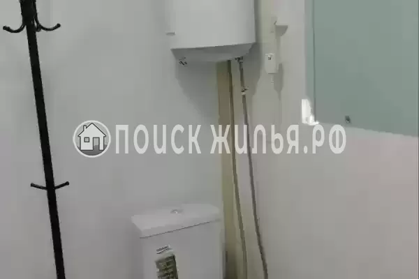 «Рыжий кот»