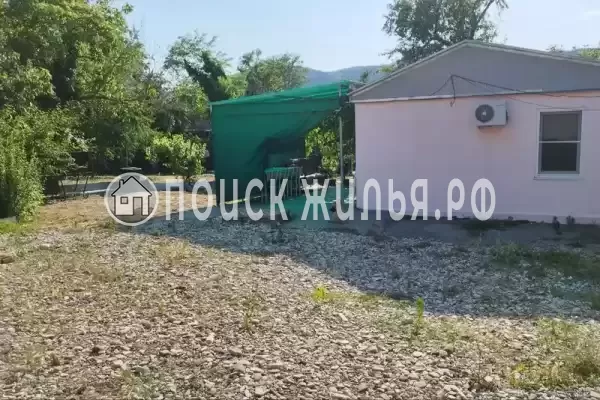 «Рыжий кот»