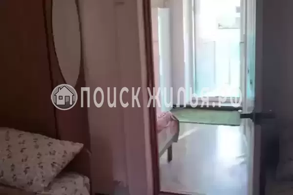 «Рыжий кот»