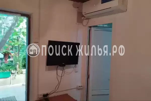 «Рыжий кот»