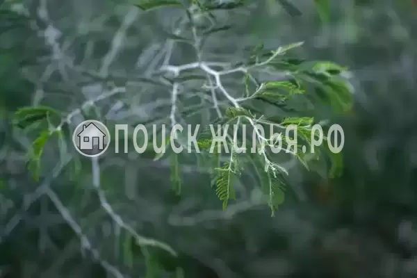 Квартира «У Чёрного моря (Сириус)»