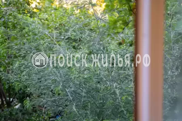 Квартира «У Чёрного моря (Сириус)»
