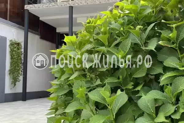Дом под ключ «Коттедж в 100 метрах от моря» Дом под ключ «Коттедж в 100 метрах от моря»