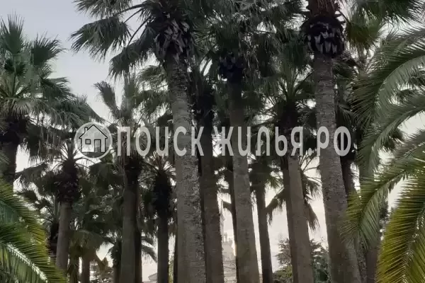 Квартира «В ЖК Остров мечты» Квартира «В ЖК Остров мечты»