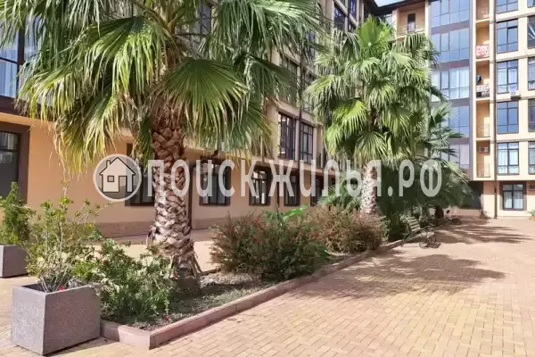 Апартаменты «В Сириусе»