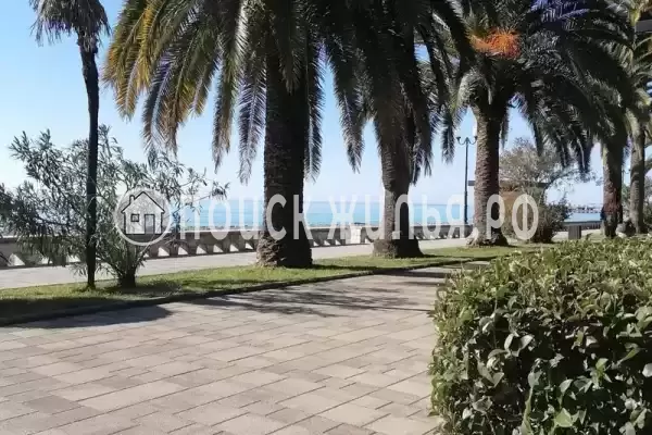 Квартира «-студия в ЖК Курортный» Квартира «-студия в ЖК Курортный»