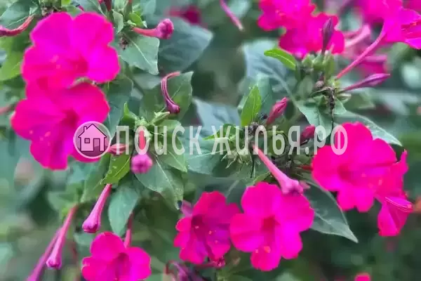 Частный сектор «Домик на Степной» Частный сектор «Домик на Степной»