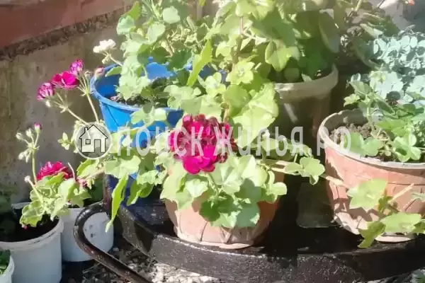 Частный сектор «Домик на Степной» Частный сектор «Домик на Степной»