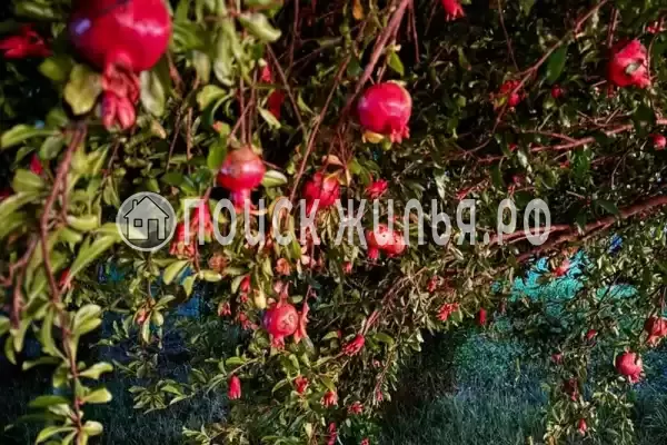 Частный сектор «Коттедж под ключ Friends»