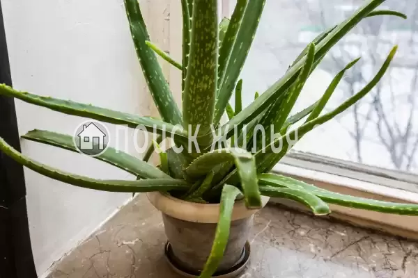 Хостел «Хостел №1»