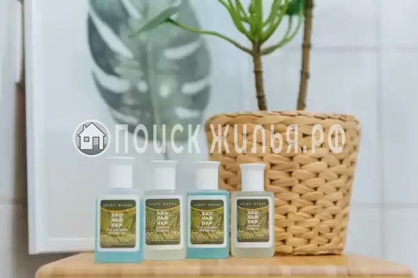 Отель «Ecoliner Hotel»