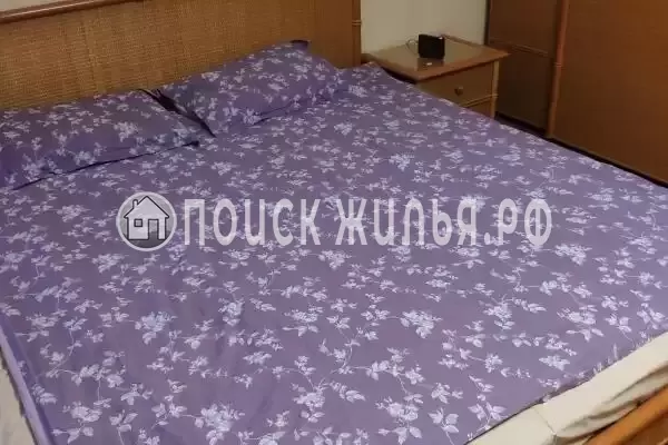 «Пилот Домодедово»