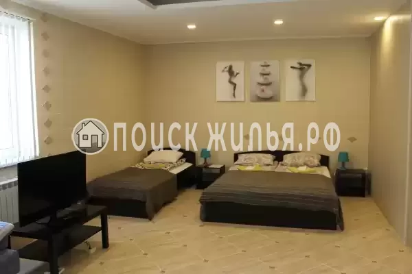 «Пилот Домодедово»