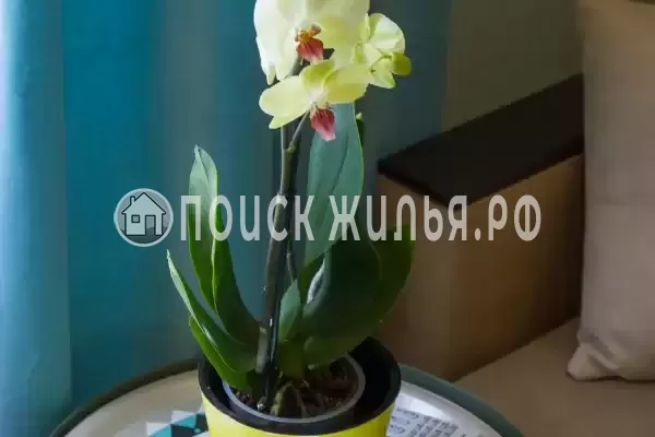 Отель «Salstory» Отель «Salstory»