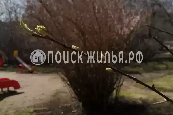 «Усадьба Еловое»