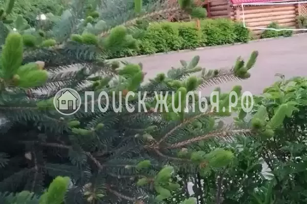 «Усадьба Еловое»