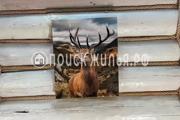 Гостиница «Эдем»