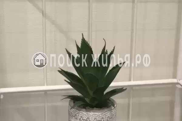 Хостел «Живи и Путешествуй» Хостел «Живи и Путешествуй»