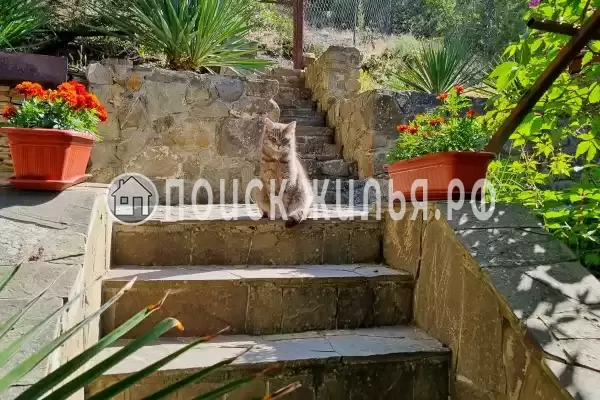 «Шаляпин Хаус»