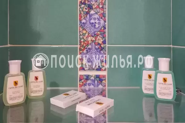 Отель «Орловский» Отель «Орловский»