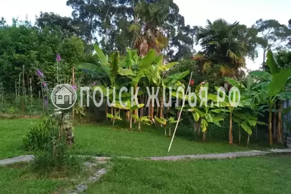 Частный сектор «Комнаты в доме на ул. Цвижба» Частный сектор «Комнаты в доме на ул. Цвижба»