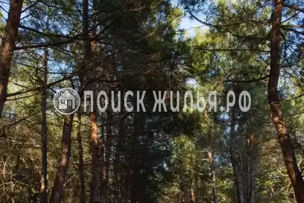 Частный сектор «Комната в коттедже Надежда у моря»