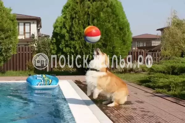 Частный сектор «Коттедж на 2 линии от моря» Частный сектор «Коттедж на 2 линии от моря»