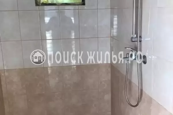 «Лесная сказка»