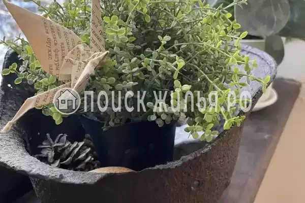 Отель «Дом с Л.Н. Толстым»