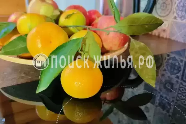 «Усадьба Власовых» «Усадьба Власовых»